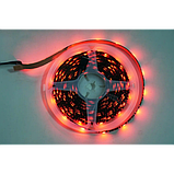 Світлодіодна стрічка RGB MEIQ-IT 7995 з Bluetooth керуванням, 5 м, фото 4