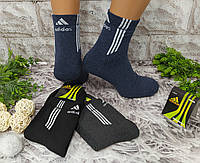 Шкарпетки чоловічі розмір 40-44 махра спорт за 1 пару 0011