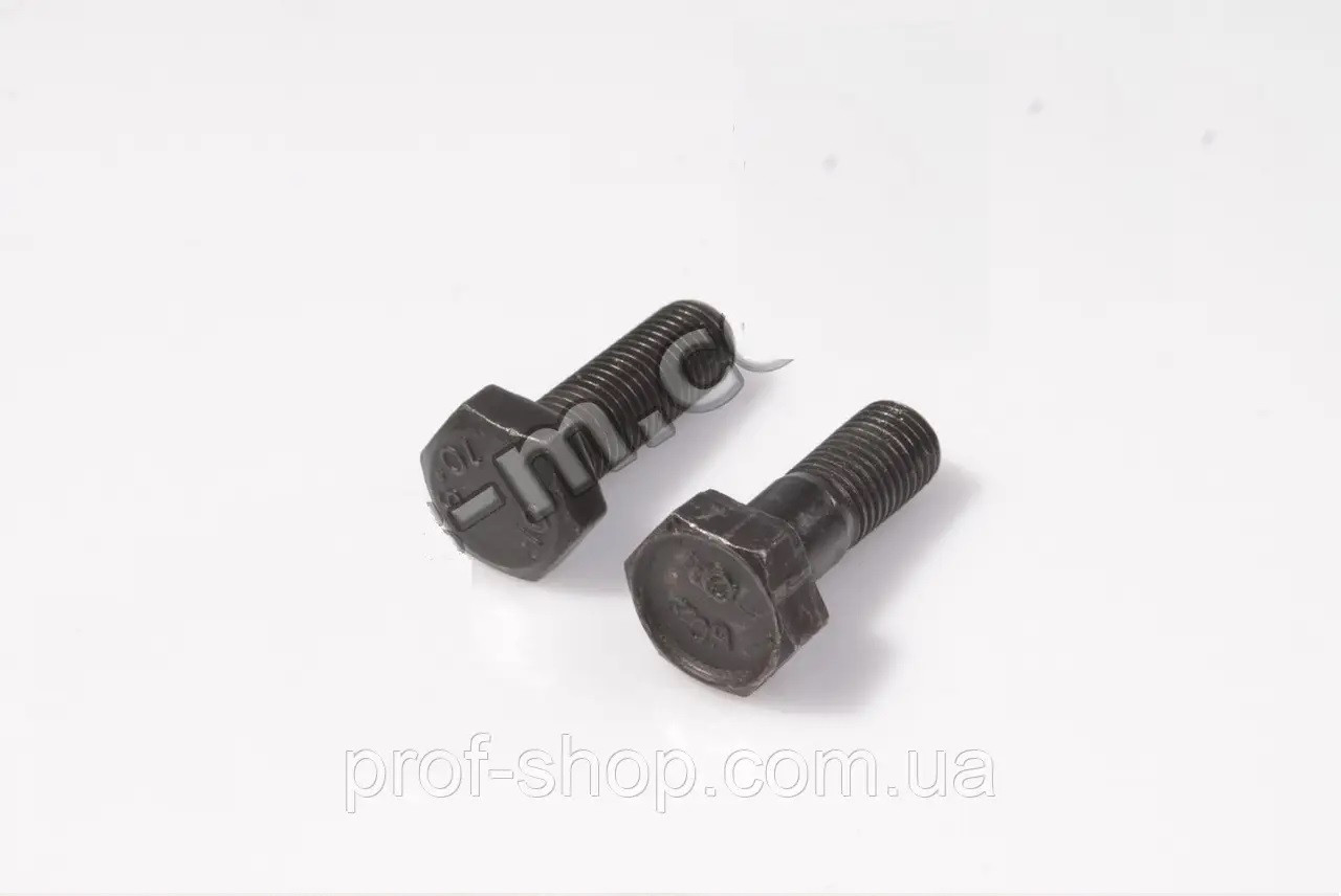 Болт маховика Газель, Соболь, Газель NEXT, Бізнес, УАЗ 4215, Evotech 2,7 М10х1.25х28, фото 1