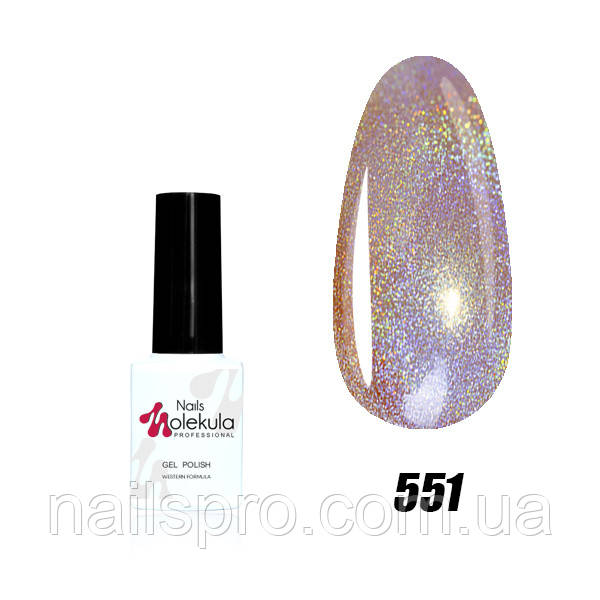 Гель-лак для нігтів Nails Molekula Holographic UV Gel Polish 6 мл №551