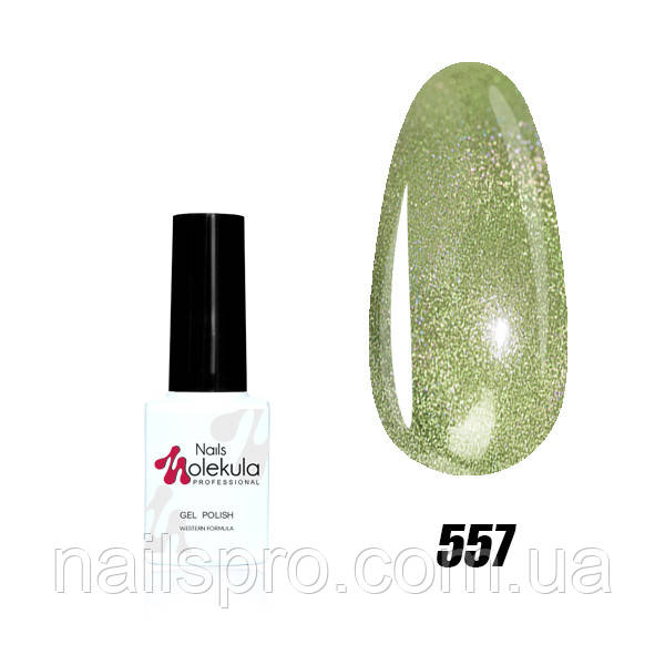 Гель-лак для нігтів Nails Molekula Holographic UV Gel Polish 6 мл №557