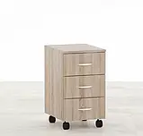 Стіл письмовий КС-03 (Кіївський Стандарт) 1000х600х1670мм, фото 9