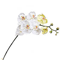 Орхидея белая 137 см Elisey