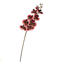 Орхидея 106 см., бордовая Elisey
