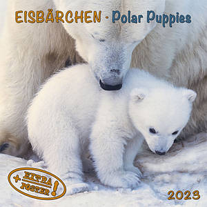 Настінний календар 2023 рік. Polar Bears