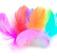 Пір'я для декору та куль