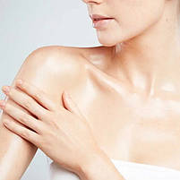 Регенерувальна олія для тіла ELEMIS Japanese Camellia Body Oil Blend 100мл, фото 4