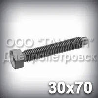 Гвинт М30х70 DIN 561 (ГОСТ 1481-84) установлювальний із шестигранною головкою й цапфою
