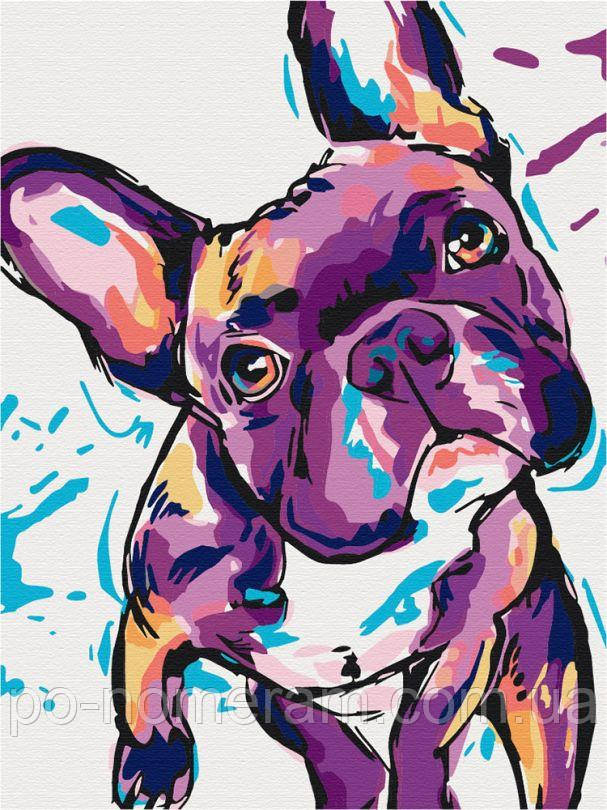 Акційна Картина за номерами ArtCraft Француз (ACR-11667-NN) 30 х 40 см, фото 1