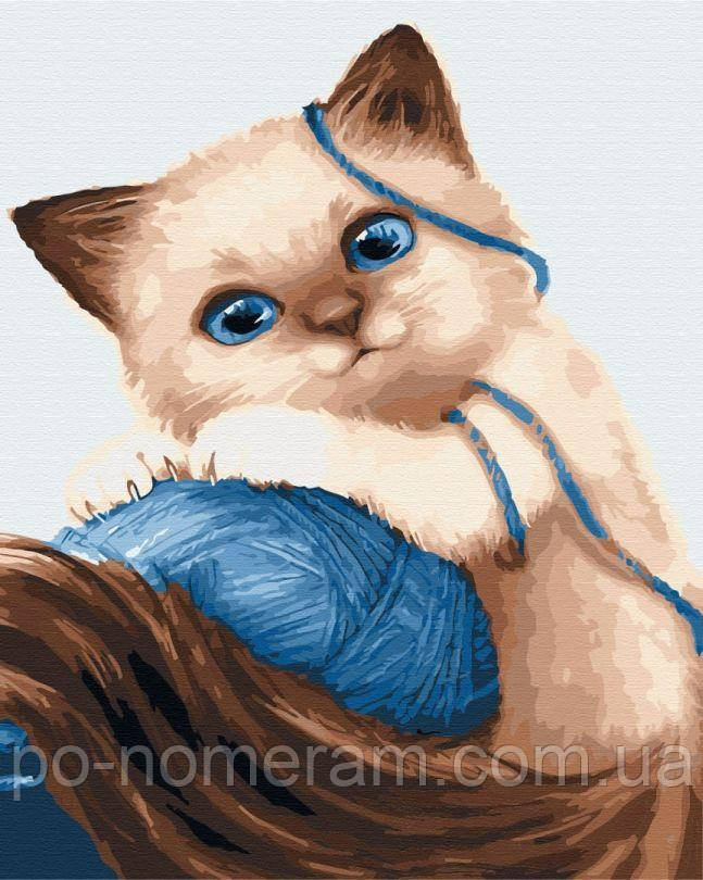 Картини за номерами BrushMe Кошеня з клубком (BSM-B23633) 40 х 50 см