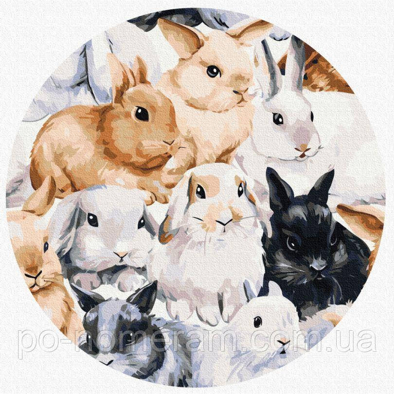 Розмальовки за номерами BrushMe Команда зайчиків (Розмір M) (RC00015M) 30 см