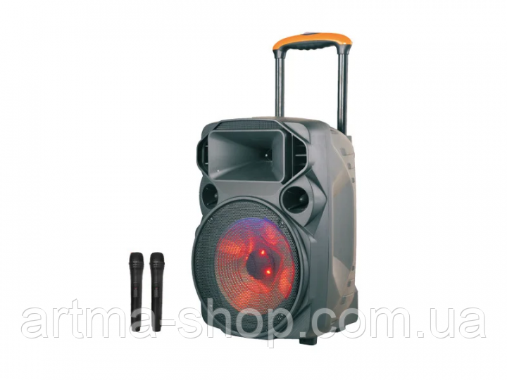 Акустична переносна колонка ZXX-1209 USB/FM/Bluetooth 12" 30Вт