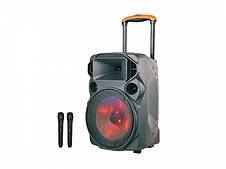Акустична переносна колонка ZXX-1209 USB/FM/Bluetooth 12" 30Вт