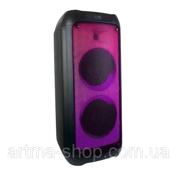 Акустична переносна колонка TMS-208 USB/FM/Bluetooth 8" 100Вт 32х72х30см