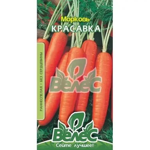 Насіння моркви Красавка, 15 г