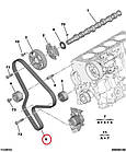Ремінь ГРМ на Fiat Ducato 244, Peugeot Boxer, Citroen Jumper (2002-2006) 2.0JTD/HDi, 9463380680, 0816A9, фото 4