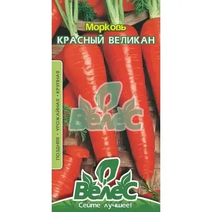 Насіння моркви Червоний Велетнь, 15 г, фото 1