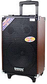 Акустична переносна бездротова колонка Temeisheng Q-10S +2 MIC + BT