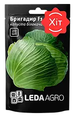 Насіння Капуста Бригадир F1, 20 сем