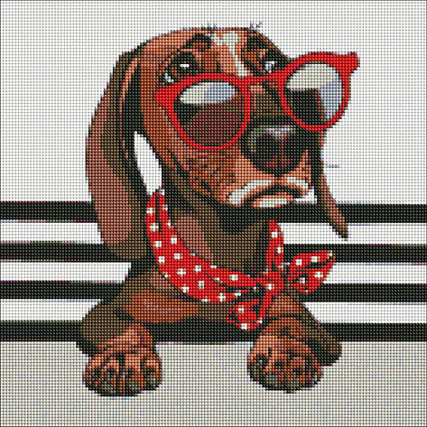 Алмазна мозаїка AMO7207 Стильна такса, 40x40см Ideyka на підрамнику, фото 1