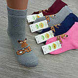 Шкарпетки дитячі високі зимові з махрою р.16 (5-6 років) кіт асорті 30032380, фото 2