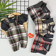 Комплект детские штаны на лямках + кофта 68 86 размеры на 3-6-12-18 месяцев