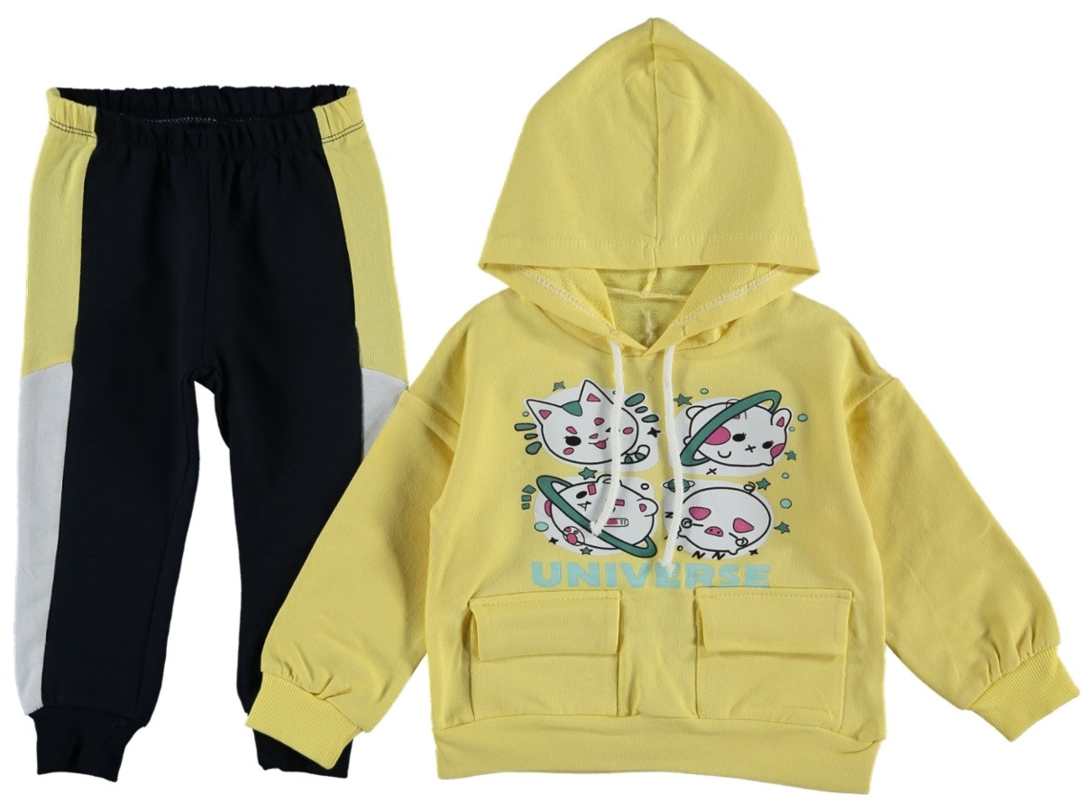 Осінній комплект дитячого одягу (кофта + штани) 104 розмір на дівчинку 3 4 роки