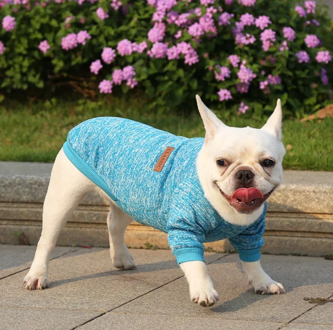 Модний м'який светр "Класик" для котів та собак, блакитний XXL