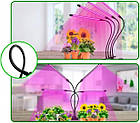 Фитолампа світлодіодна для рослин Plant Grow Light 7819 з таймером, чорна Без бренду, фото 4