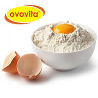 Альбумин яичный OVOVITA, Яичный белок, сухой яичный белок (OVOVITA, Польша)