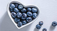 Blueberry: лохина -«американська чорниця» - та її властивості