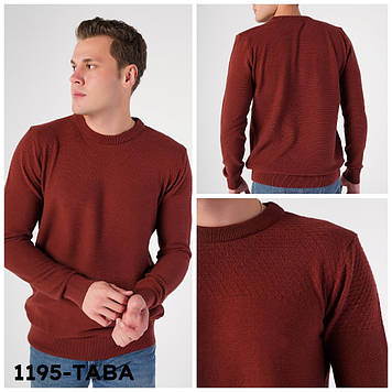 Реглан чоловічий Trist Star 1195 TABA 100% бавовна L(Р)