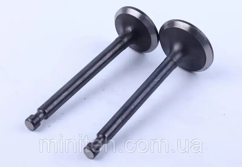 Клапана дв. 173D (2 шт.), фото 1