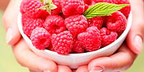 Raspberry Ketones: малина для схуднення та оздоровлення