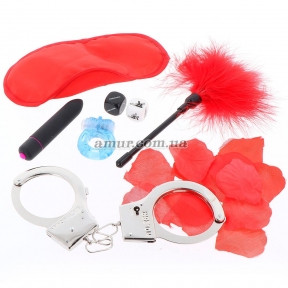 Набір БДСМ The Naughty Birthday Kit