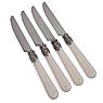 Набір столових приборів у сріблястому кольорі Madreperla Brandani, 16 шт., фото 7