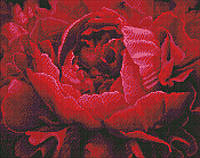 Алмазная мозаика Изысканный цветок Идейка 40 х 50 AMO7387