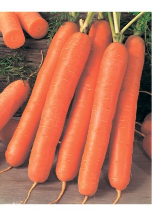 Насіння моркви Ройал Форто 1 кг. Seminis