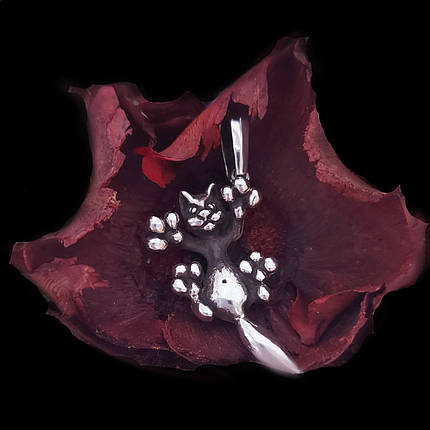 Кіт лапи, котик із лапками, котик у польоті, Кулон, підвіска, фото 1