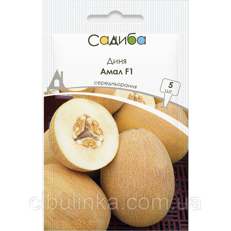 Диня Амал F1 Clause/Франція 5 шт., фото 1