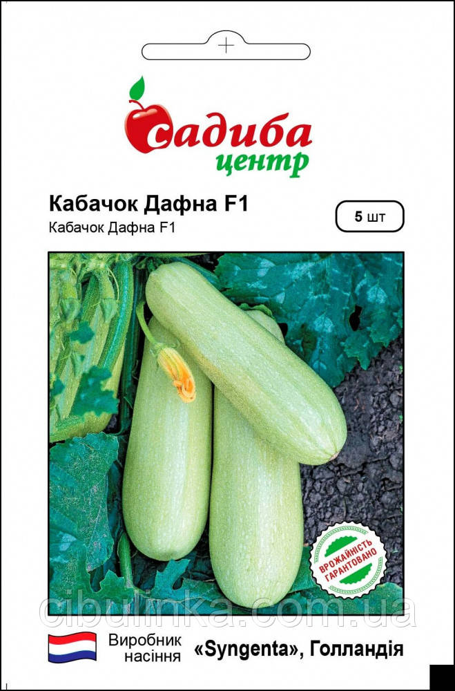 Кабачок Дафна F1 (Syngenta/Нідерланди 5 шт.), фото 1
