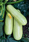 Кабачок Дафна F1 (Syngenta/Нідерланди 5 шт.), фото 2