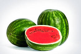 Кавун Талісман F1 Nunhems Нідерланди 10 шт