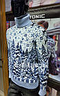Светр чоловічий Pulltonic Гірський Ліс, фото 4