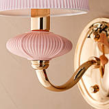 Бра на 1 лампу рожного кольору з абажуром (BL002/1pink), Elisey, фото 4