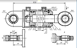 Гідроциліндр 100х50х630.930 ш/с БДВП-4.2, БДВП-5.5, БДВП -6.3, БДВП -7.2 (Красн., Агромаш), фото 2