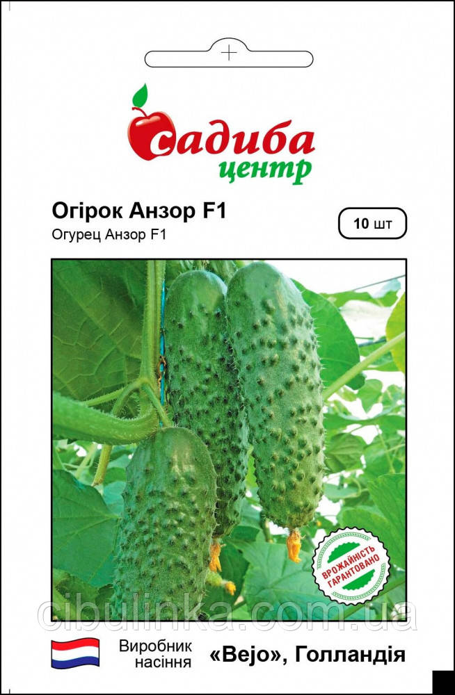 Огірок Анзор F1 Bejo Zaden/Нідерланди 10 шт, фото 1