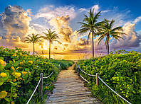 Пазлы Красочный восход в Майами США на 3000 деталей