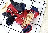 Зимовий одяг для собак, Комбінезон з малюнком бульдогів червоний, фото 4