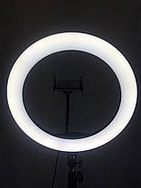 Світлодіодна LED кільцева лампа 35 СМ LS-360, фото 3